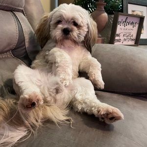 Meet your Posher, Diego